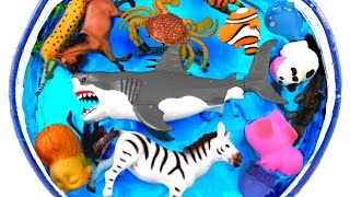 Lots of Zoo Wild Animals with Real Animal Videos And Toys For Kids Children [upl. by Ybrik]