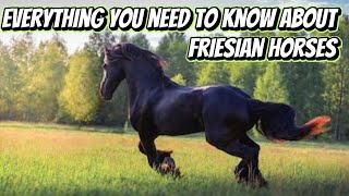 Friesians in Movies Part 1  Clash of the Titans  Pegasus [upl. by Annuhsal]