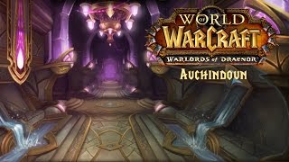 Warlords of Draenor  Auchindoun Walkthrough Guide [upl. by Durtschi731]