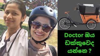 සමහර අයට අනුව ඩක්කුවේ වැඩට යන මං  Cargo bike lifeineurope sinhala [upl. by Ennairb]