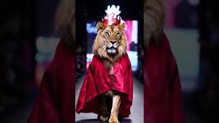 Lion King of the Neon Runway Bold Regal and Unstoppable [upl. by Ruffo]