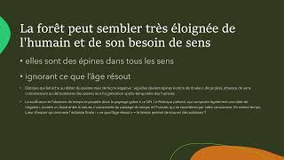 Explication linéaire du poème quotMes forêts sont de longues tiges dhistoirequot Hélène Dorion [upl. by Nahtanoy]