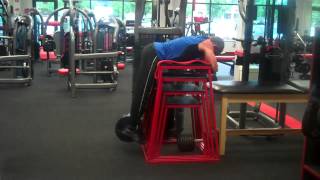 Reverse Hyperextensions Weighted [upl. by Nevla910]