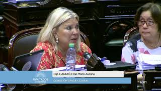 Diputada Carrió Elisa María Avelina  Sesión  18122017  CP [upl. by Aicire]