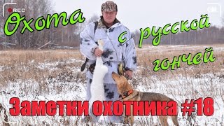 Охота Заметки охотника 18 За зайцем с русской гончей Разделка зайца Hunting in Russia [upl. by Fagaly]