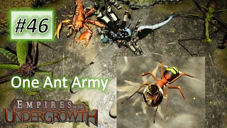 Empires of the Undergrowth 46 Using ONLY 1 ANT to BEAT All Formicarium Challenge 14 on INSANE [upl. by Euqinemod]