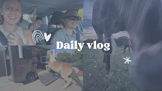 😱 koňovýlet až za Brno  Daily Vlog [upl. by Lishe]