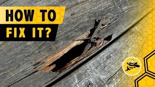 How to Repair Damaged Deck Boards That Rot or Have Holes [upl. by Crandale]