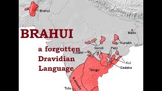 Brahui  A Dravidian Language [upl. by Eahsan]