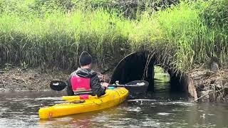 Kayaking Clatskanie River to the rotating bridge [upl. by Arymat]