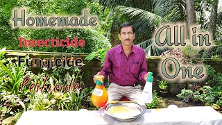 How to make Insecticide Pesticide  Fungicide  Antibiotics Miracle All in one Solution [upl. by Yvan251]