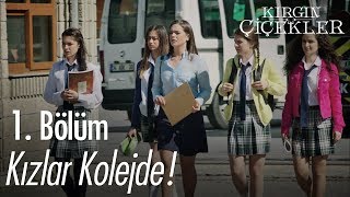 Kızlar kolejde  Kırgın Çiçekler 1 Bölüm [upl. by Madda550]