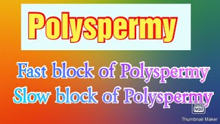 What is PolyspermyMechanism of Polyspermy  Slow block amp Fast block PolyspermyDevelopmental Bio [upl. by Guibert383]