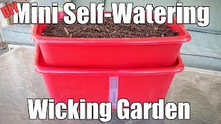 DIY Mini SelfWatering Wicking Garden [upl. by Moreen]