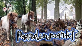 Vlog23 Ponys redden van de slacht  Paardenmarkt Zuidlaren [upl. by Ailad]