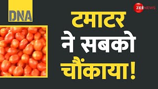 DNA टमाटर ने सबको चौंकाया Tomato Price Hike  Vegetable Rate Today  Apple  Latest Update  Hindi [upl. by Corson302]