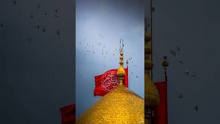 Janum Ya Hussain as noha  yahussain as yaabbas as nadeemsarwar karbala noha moharram [upl. by Oinotnaesoj]