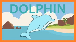 Dolphin Song  Fun Sea Animal Facts Song for Kids │ Smiley Rhymes [upl. by Lerrad571]