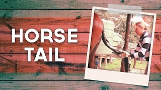 How To Prepare Your Horses Tail [upl. by Lokkin]