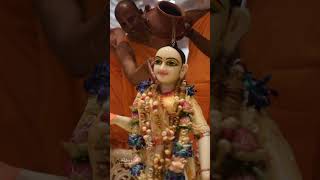 laddugopal laddugopalstatus krishnastatus janmasthami iskcon iskcontemple vrindavan radhaji [upl. by Elman]