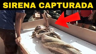 Acaban de Encontrar una Sirena en la Playa el final te sorprenderá [upl. by Pathe]