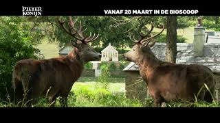 Pieter Konijn  TV Spot 1 NL  Sony Pictures Belgium [upl. by Stewardson]