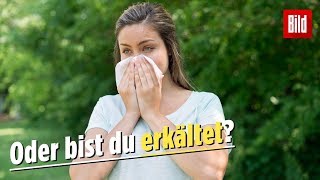 Allergie So erkennst du Heuschnupfen [upl. by Akena]