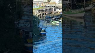 Bairro da Barra de BC SC🇧🇷 shorts travel fé show aventura mar navio medo animals praia [upl. by Don349]