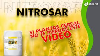 🟡𝗡𝗜𝗧𝗥𝗢𝗦𝗔𝗥 abono foliar ideal cereales🌾 EFECTO prolongado y muy 💲𝗥𝗘𝗡𝗧𝗔𝗕𝗟𝗘💲 garantía SARABIA [upl. by Asiret512]