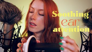 ASMR Soothing Ear Attention 💜 [upl. by Sualokcin815]