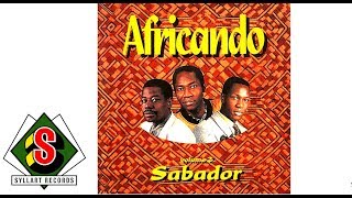 Africando  Tierra Tradicional Remix audio [upl. by Tloc627]