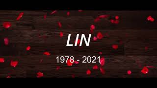 LinMoV ConseilLyrics [upl. by Onimixam]