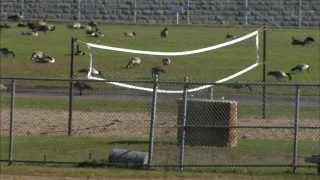 A rare look inside St Cloud prison [upl. by Kcirrad]