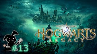 wtrone1 geht Online ✶ Hogwarts Legacy 13 [upl. by Sirromaj962]