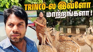 Trincomalee இப்போ எப்டி இருக்கு😮  அழகின் உச்சம் 😍❤️  Rj Chandru Vlogs [upl. by Ahsiliw]