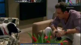 PERRO AMOR 2010  cap 27 parte 24 [upl. by Ytsirk]