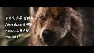 Selena Gomez席琳娜 Marshmello棉花糖  Wolves狼群【中文字幕】Lyrics剪輯版 暮光之城 [upl. by Anyel]