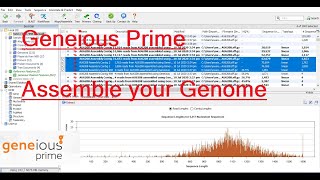 De Novo Genome Assembly using Geneious Prime  Basic Tutorial [upl. by Yelhs]