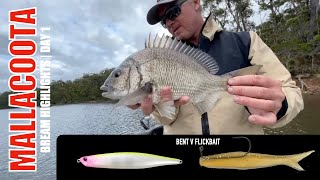 2024 BREAM Mallacoota  Highlights Day 1 [upl. by Norab589]