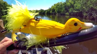 Fishing A Duck Lure For MONSTER Pike [upl. by Haela]