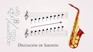 Digitaciones de Saxofón  Saxo Alto o Barítono  Como tocar Saxo  ▶️ Escala Cromática [upl. by Harrell]