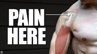 Biceps Tendinopathy  Tendinitis  Anterior Shoulder Pain Rehab Education amp Exercises [upl. by Yemrej]