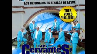 los cervantes de sinaloa de leyva 2012quiero cantarte a tiwmv [upl. by Fessuoy]