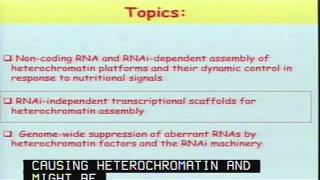 Epigenetic Genome Control by Heterochromatin and RNAi Machinery [upl. by Eissirhc]