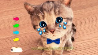 Little Kitten Preschool Adventure Educational Games Play Fun Cute Kitten Pet Care Learning Gameplay [upl. by Elatnahc46]