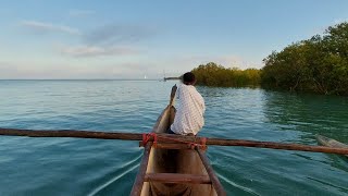 Pirogue ride across Mangrove forests of Morondova in Madagascar [upl. by Pucida145]