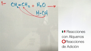 Reacciones de Alquenos Reacciones de Adición [upl. by Aihsemot]