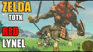 How to beat RED LYNEL in ZELDA TOTK [upl. by Ahsikat]