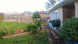 Neglected Garden Gets Yearly Renovation  Overgrown Yard Maintenance [upl. by Entroc871]