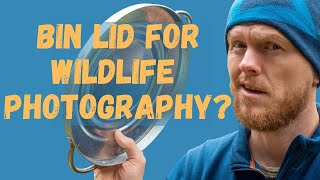 Wildlife Photography Hack  I Bought a Bin Lid [upl. by Labors]